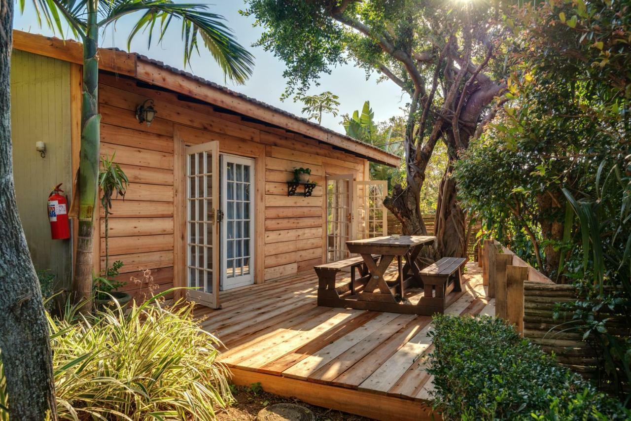 เปอตี โพรวองซ์ บูทิก เบด แอนด์ เบรกฟาสต์ Bed & Breakfast บัลลิโต ห้อง รูปภาพ